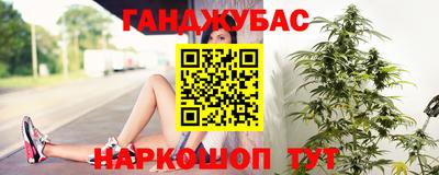 mdpv Краснознаменск