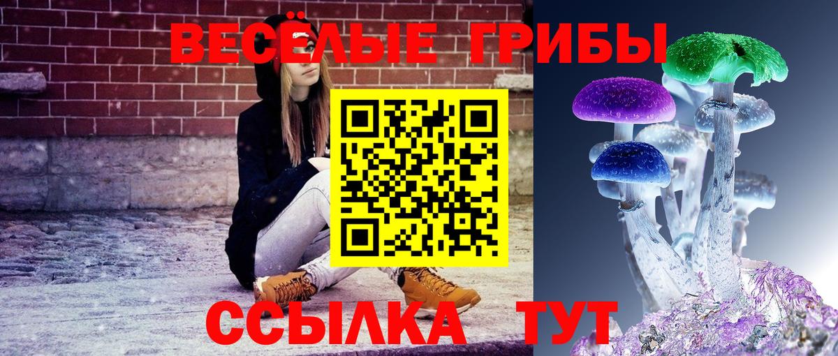 Куйбышев  Галлюциногенные грибы мицелий  Вход с VPN  Псилоцибиновые грибы мицелий 